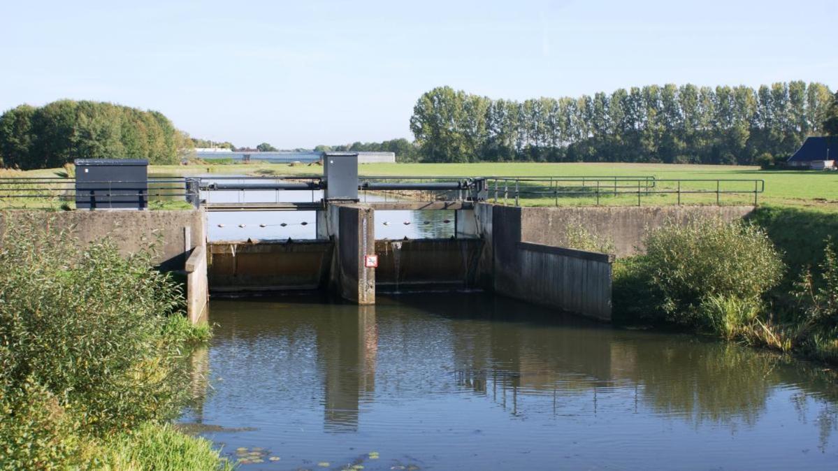 Vakantiewoning Dinkelhofje Met Gratis Linnen 代讷坎普 外观 照片