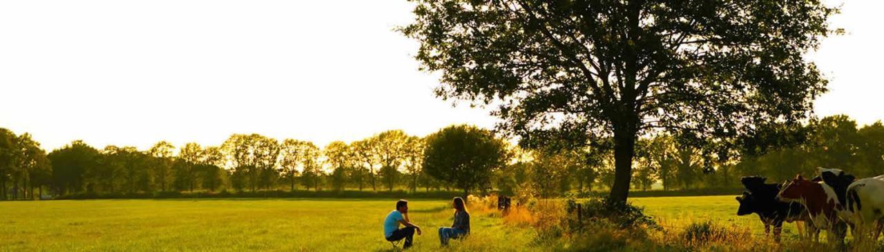 Vakantiewoning Dinkelhofje Met Gratis Linnen 代讷坎普 外观 照片